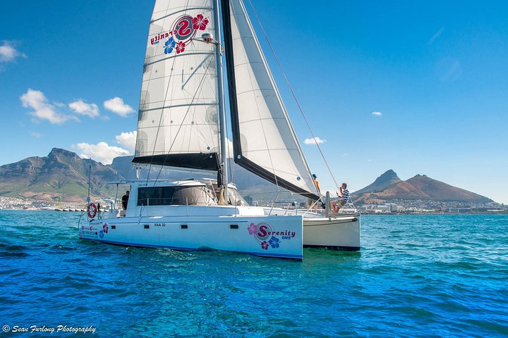 Sailing in The Bay by Catamaran (One Hour) - Photo 1 of 10